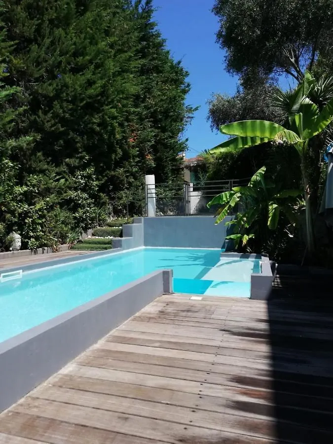 Villa Roi Albert 2 Cannes 0*,